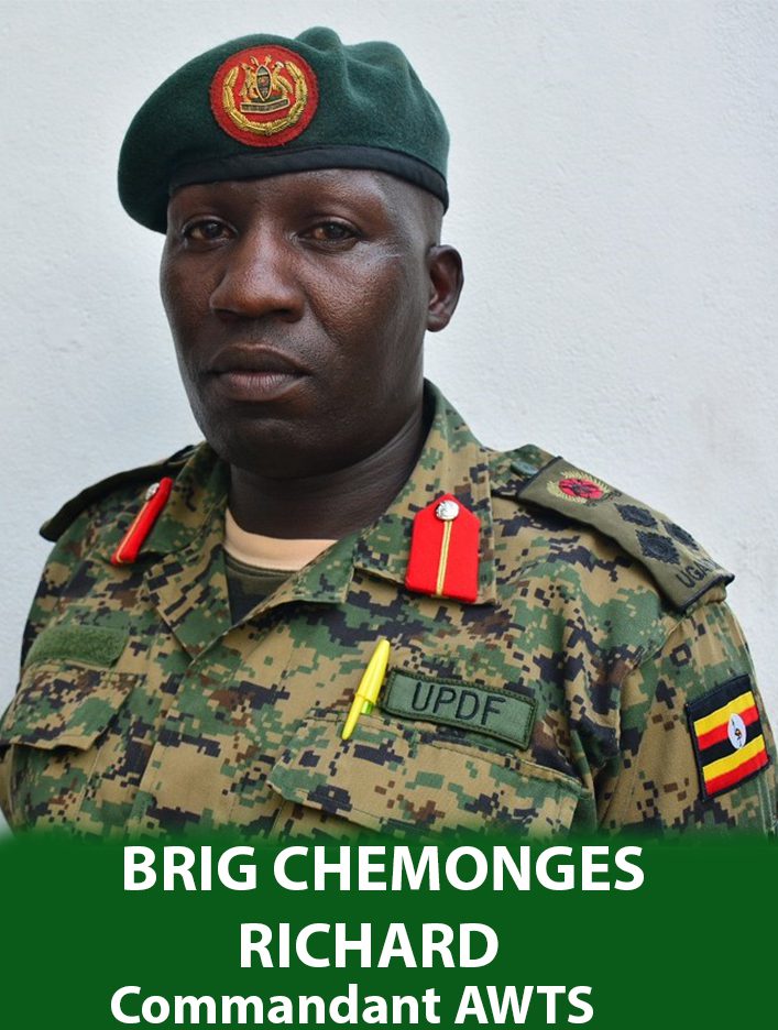 BRIG CHEMONGES RICHARD, Commandant AWTS