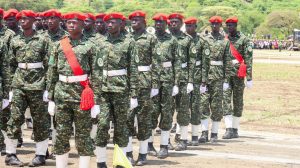 WhatsApp Image 2025-05-02 at 09.48.03 (1)