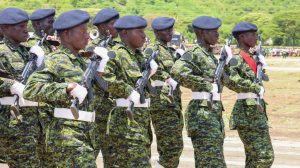 WhatsApp Image 2025-05-02 at 09.48.03